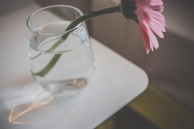 د ماگازین هتل