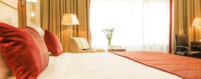 گولدن تولیپ ادیز ابابا