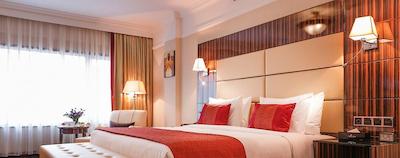 گولدن تولیپ ادیز ابابا