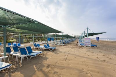 ایز فلور ساید بیچ