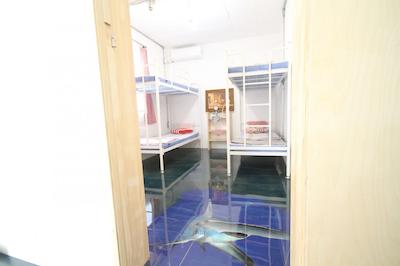 تیم تراولرز پارتی هستل این هنگدا