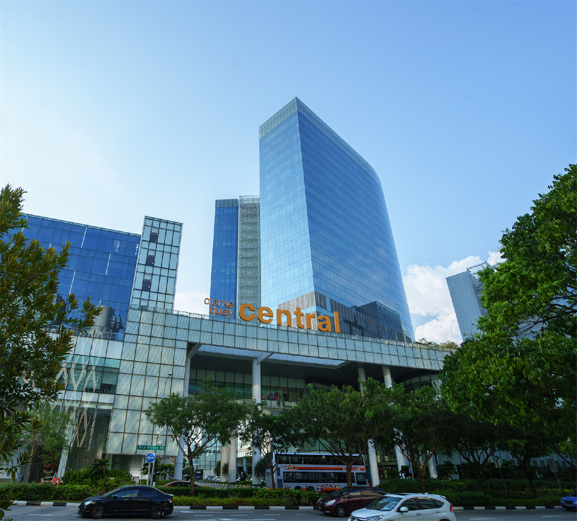 بدز اند دریمز این @ کلارک کوای