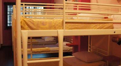 بدز اند دریمز این @ کلارک کوای