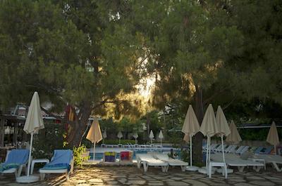 ترندی ساید بیچ