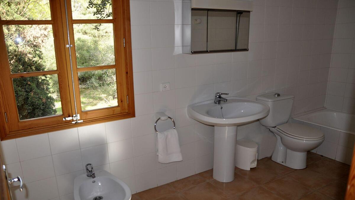 Asis de Marratxinet