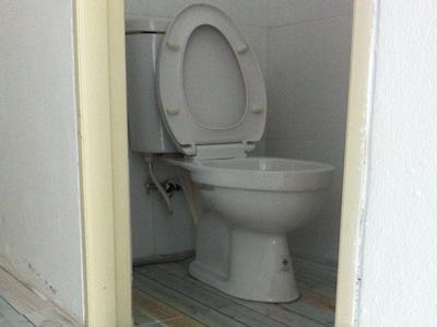 منکی ساموی هستل