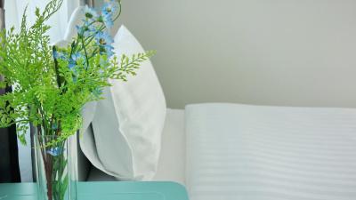 کاتا بای دی این