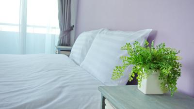 کاتا بای دی این