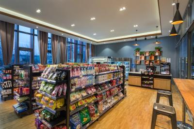 هالیدی این بیجینگ ایرپورت زون