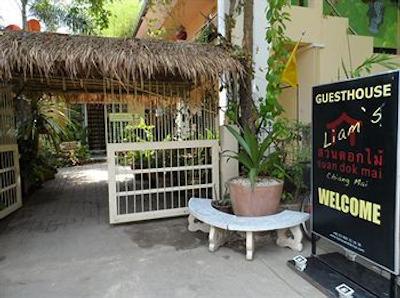 لیامز ژن دک مای