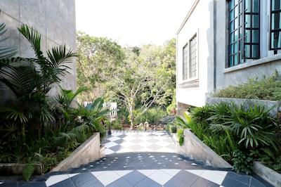 ات ناتا چیانمای چیک جونگل