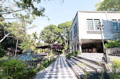 ات ناتا چیانمای چیک جونگل