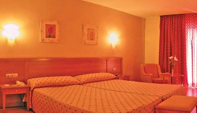 پارتنر ایمرا