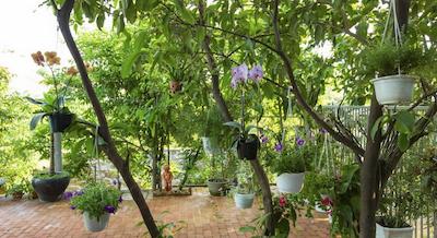 قوینه نهان همست