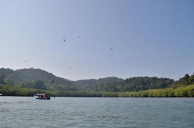 آلتیز هتل لانگکاوی