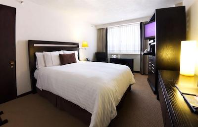 گالریا پلازا رفرما