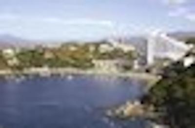 تسُرو مانزانیلو