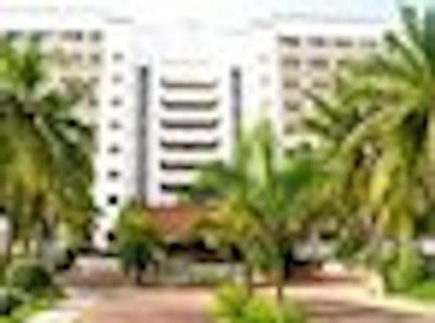 تسُرو مانزانیلو