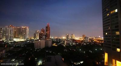 گلدن تولیپ ماندیسون سوئیتس