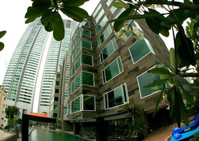 گلدن تولیپ ماندیسون سوئیتس