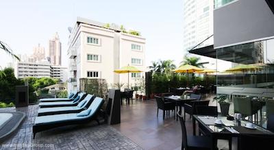 گلدن تولیپ ماندیسون سوئیتس