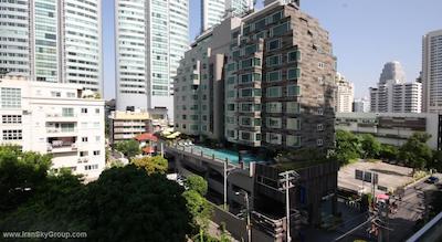 گلدن تولیپ ماندیسون سوئیتس