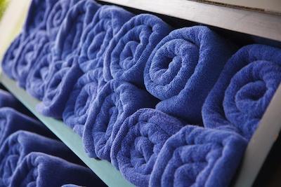 گلدن تولیپ ماندیسون سوئیتس