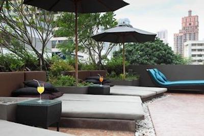 گلدن تولیپ ماندیسون سوئیتس