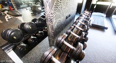 گلدن تولیپ ماندیسون سوئیتس