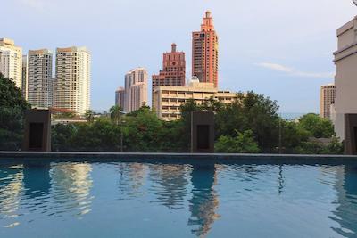 گلدن تولیپ ماندیسون سوئیتس