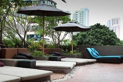 گلدن تولیپ ماندیسون سوئیتس