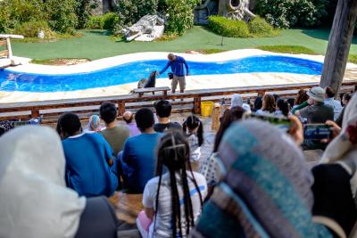 امارات پارک زو اند ریزورت