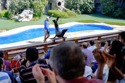 امارات پارک زو اند ریزورت