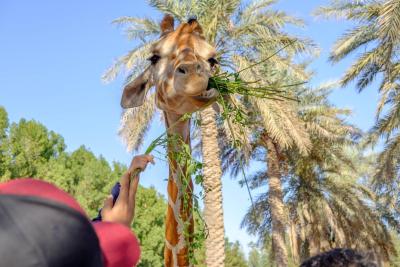 امارات پارک زو اند ریزورت