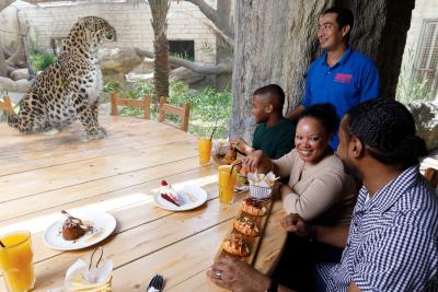 امارات پارک زو اند ریزورت