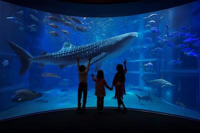 هتل سان پلازا 2 انکس