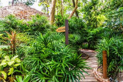 فلورال لوکس هتل منترا پاتایا