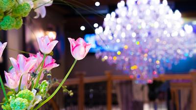 لوکسوری سویتز امستردام