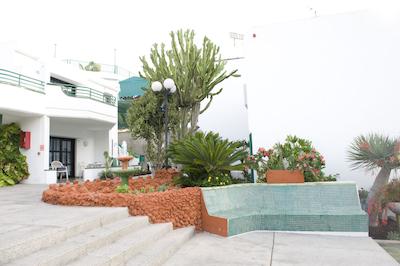 هلیمار پالمراز