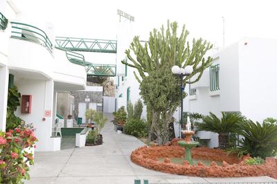 هلیمار پالمراز