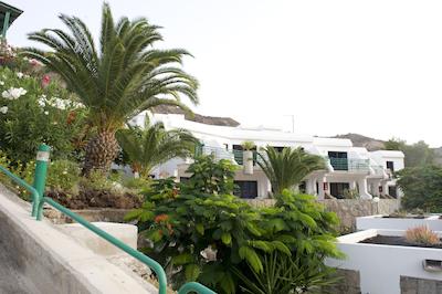 هلیمار پالمراز