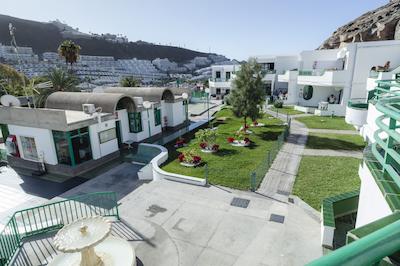 هلیمار پالمراز