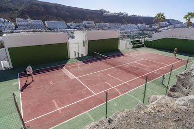 هلیمار پالمراز