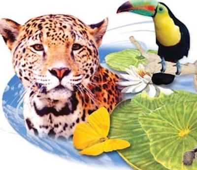 هتل سُلیل گواناجواتو