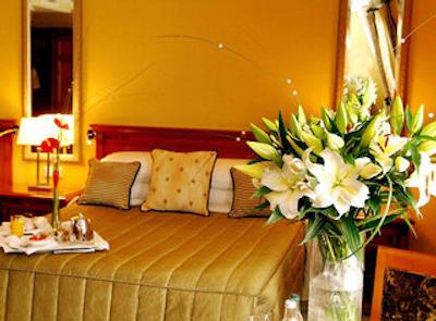 اینترنیشنال کیلارنی