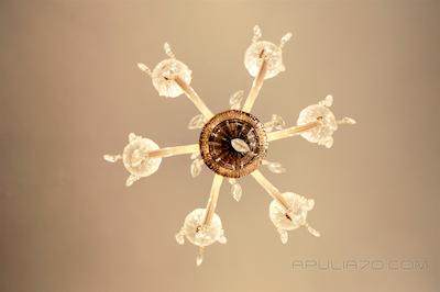 اپولیا 70 هلیدز