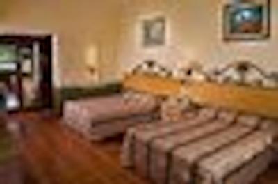 دل گوبرنادر