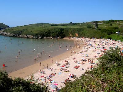 رورال کوارتامنترو