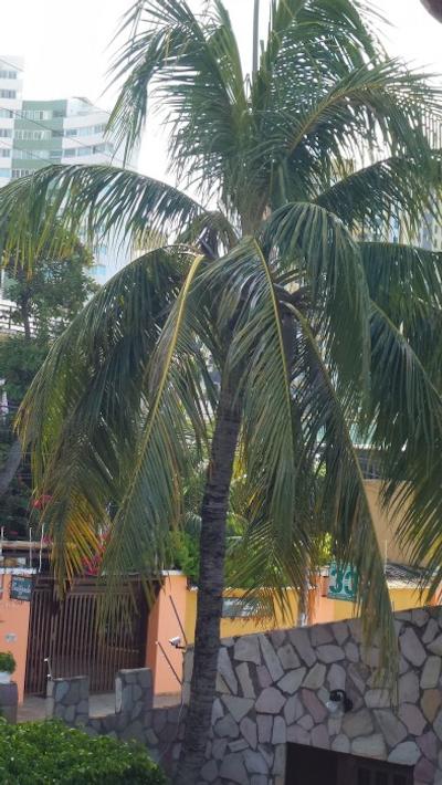 کاستلو بیچ هتل