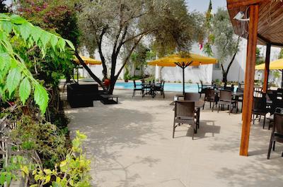 پرینسز دیلتوا